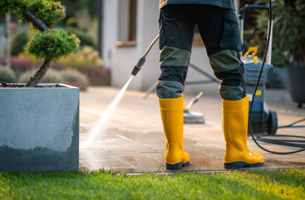 Best Roof Pressure Washing  in Little Canada, MN